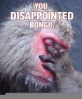 disappointed-bongo